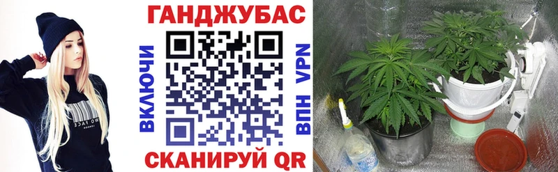 где купить наркоту  Избербаш  МАРИХУАНА MAZAR 